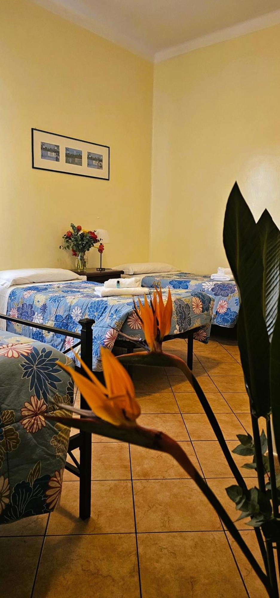 Titina Guest house 2*